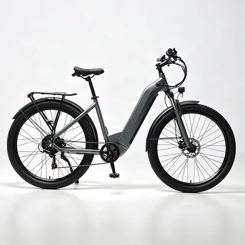 7-Gang 36V 250W Elektrofahrrad – Cycling Commute Speed Bewertung und Preis